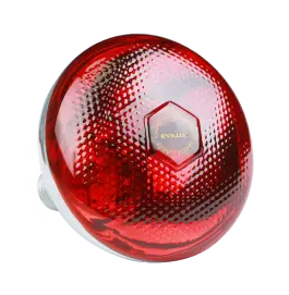 Bóng sưởi hồng ngoại - EV-BS02