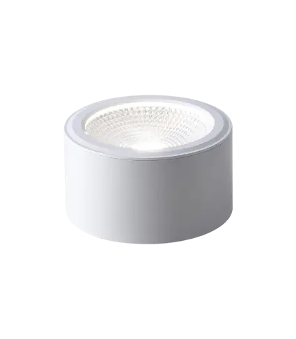 Đèn Downlight COB TL-D101-12W