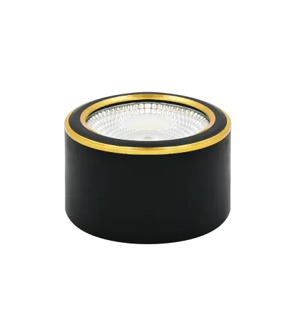 Đèn Downlight COB TL-D101-12W